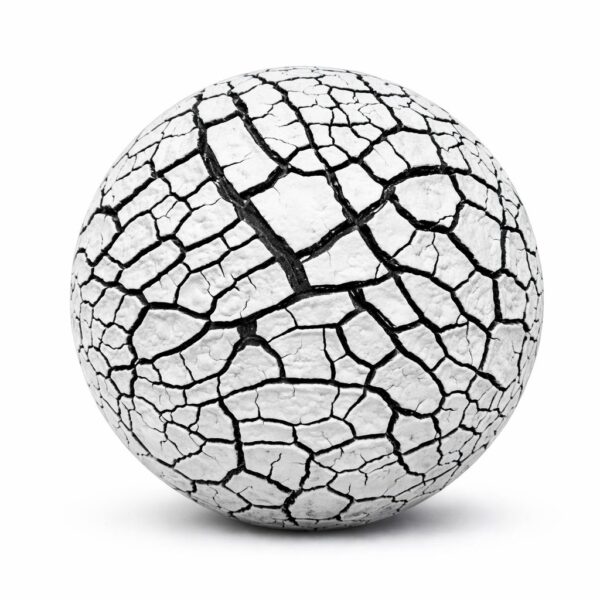 IMG_20260215_140415_192