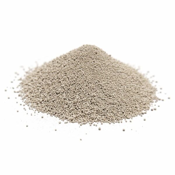 photo_2026-01-28_22-02-39